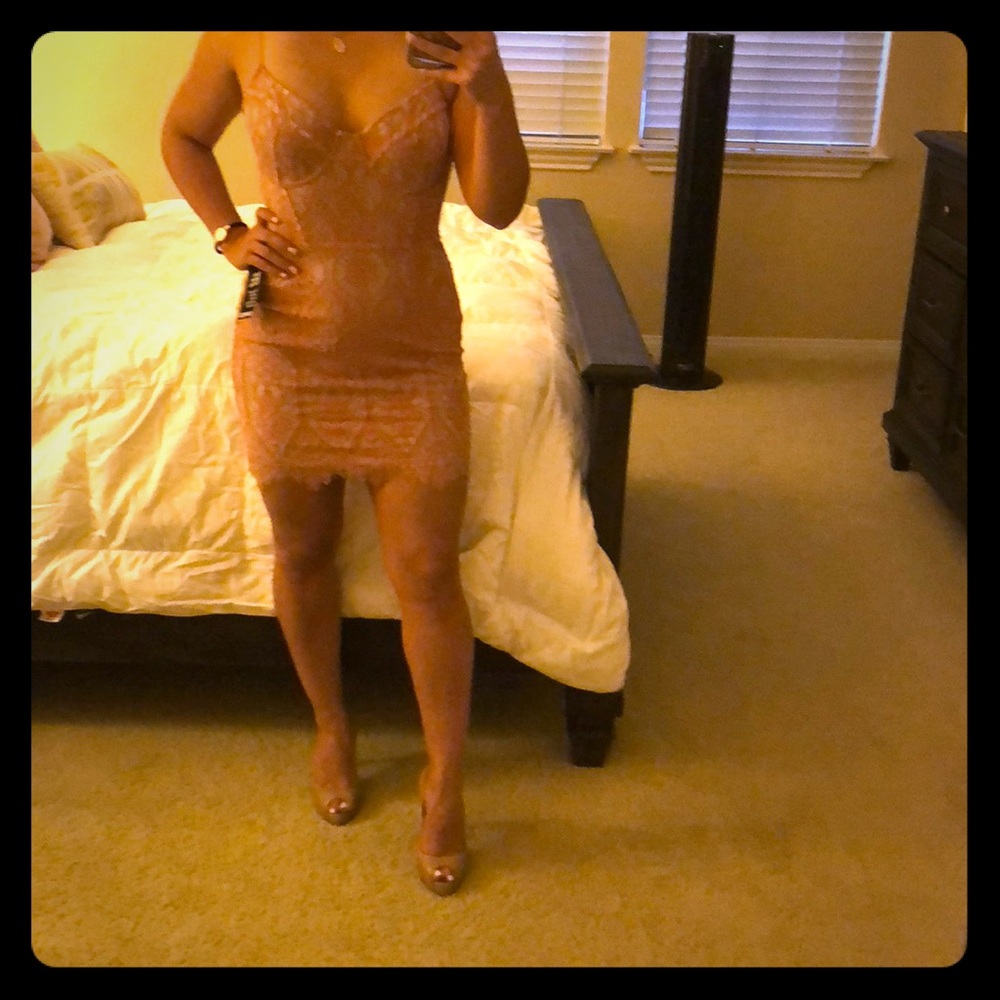Brand New With Tags! Blush Lace Corset Dress